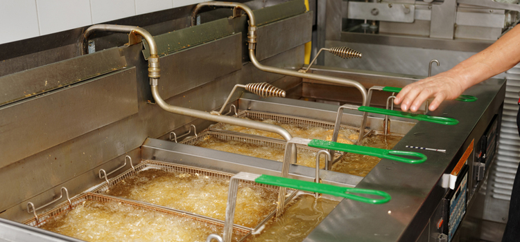 Commercial Fryer Repair in Orleans