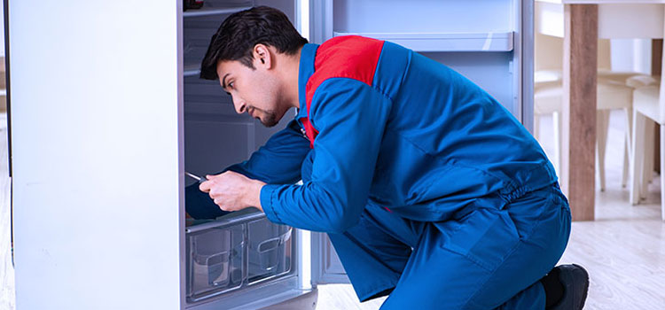 Faber Freezer Repair Services in Orleans